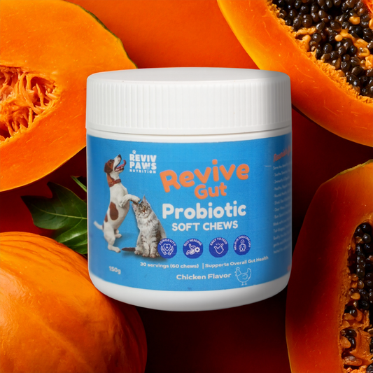 Revive Gut Probiotic Soft Chews